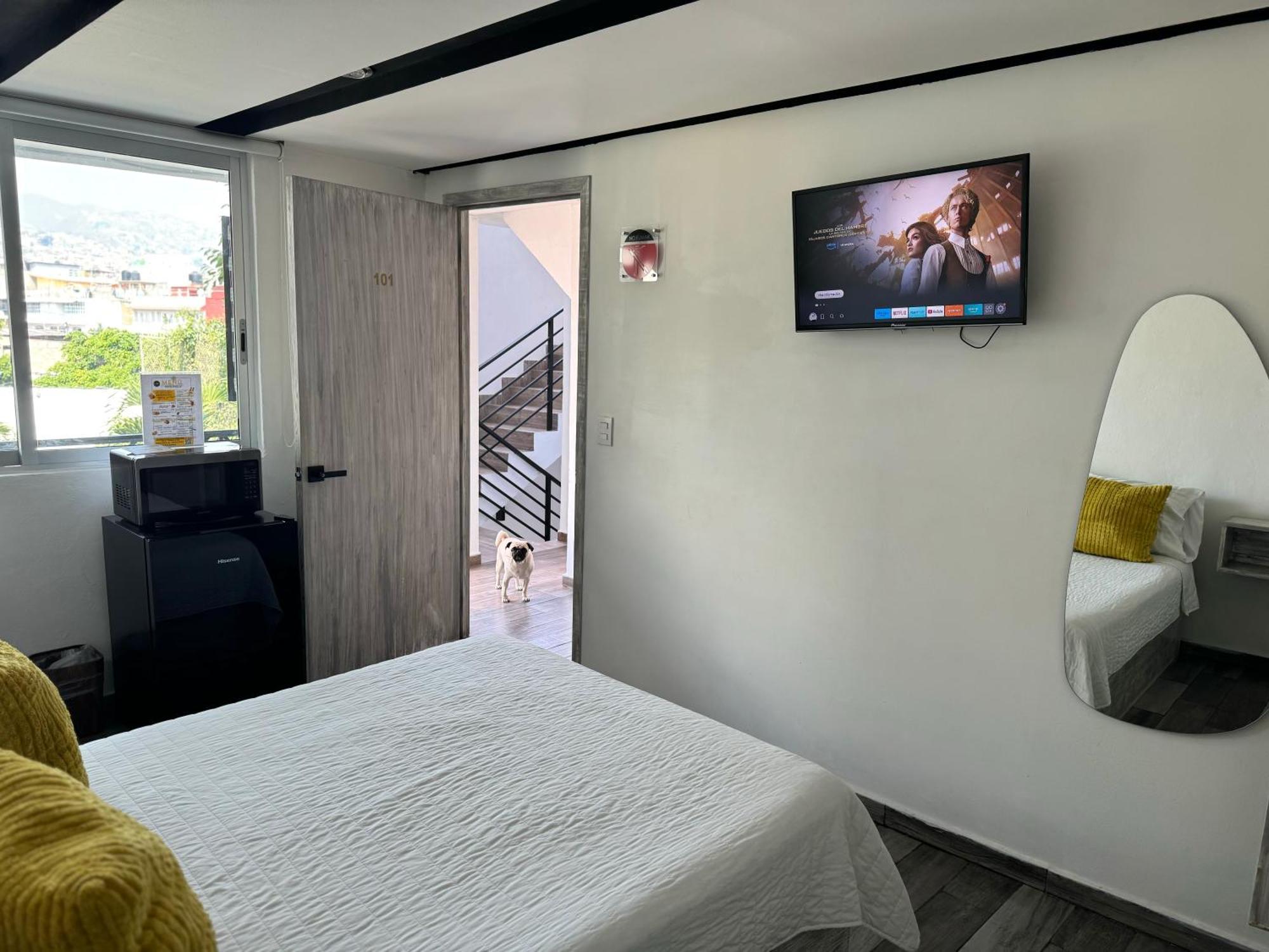 Hotel Daba Boulevard Chilpancingo de los Bravos エクステリア 写真
